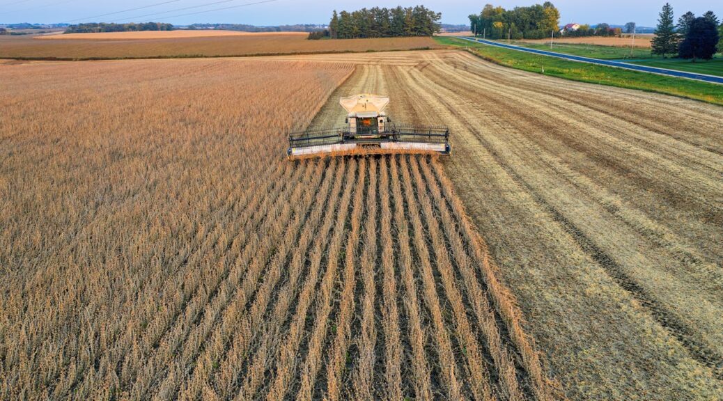 Fremtiden for landbrugsmaskiner: Effektivitet og holdbarhed på auktion